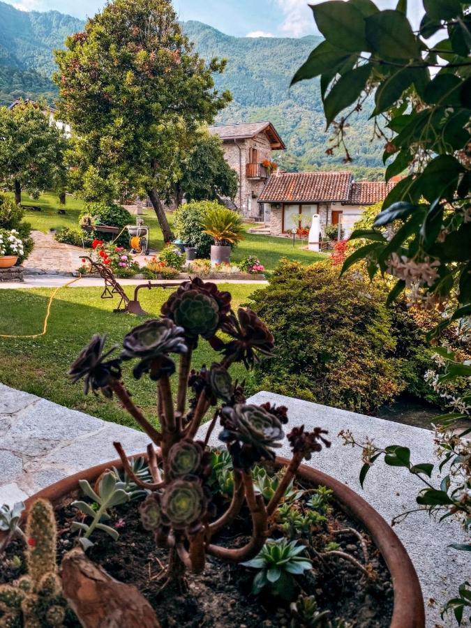 Il Fienile - Lake Como Heritage Home In Molino Maufet Watermill - Lake View Terrace Colico Kültér fotó